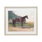 Stupell Industries Saddled Horse in Farm Yard Framed Print Under Glass, design by Stellar Design Studio